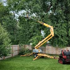 Best Tree Removal Services  in Fort Dix, NJ